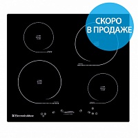 Model 605304.01evi